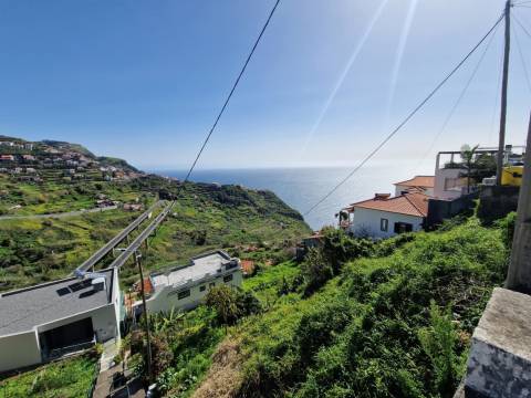 Terreno Rústico  Venda em Campanário,Ribeira Brava