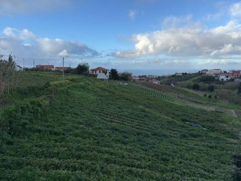 Moradia T3 Venda em Santana,Santana