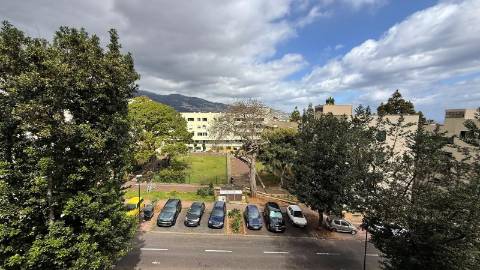 Apartamento T3 Venda em São Martinho,Funchal