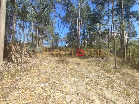 Terreno urbano para venda em Fânzeres - Gondomar