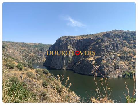 Lote de terreno, Miranda do Douro, Bragança