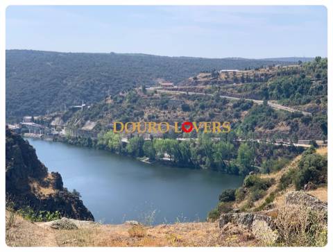 Lote de terreno, Miranda do Douro, Bragança