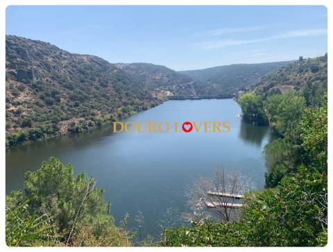 Lote de terreno, Miranda do Douro, Bragança