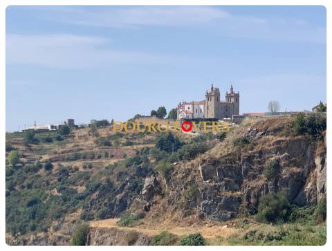 Lote de terreno, Miranda do Douro, Bragança