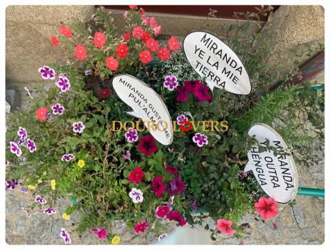 Lote de terreno, Miranda do Douro, Bragança