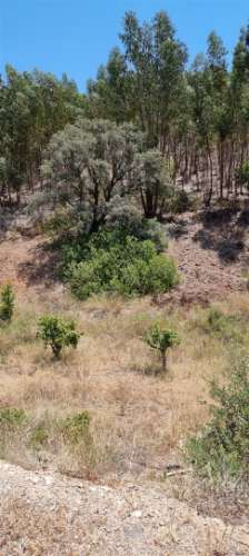 Terreno com casa para recuperar,  portimão, faro