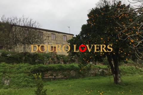 Quinta agrícola em Marco de Canaveses