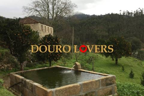 Quinta agrícola em Marco de Canaveses