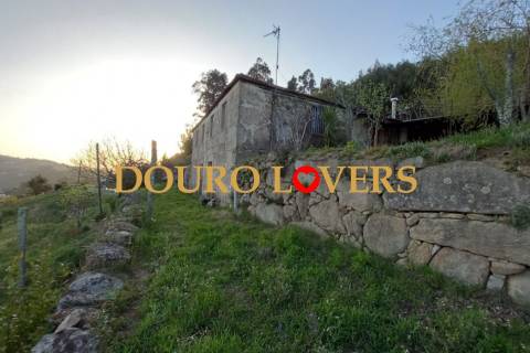 Quinta agrícola em Marco de Canaveses