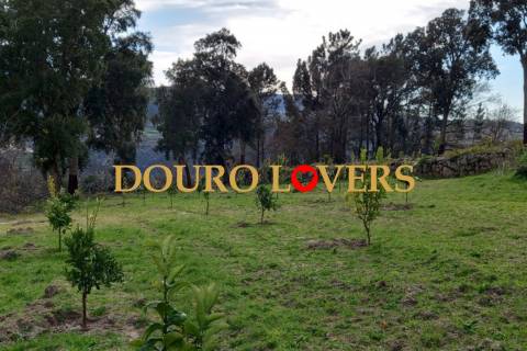 Quinta agrícola em Marco de Canaveses