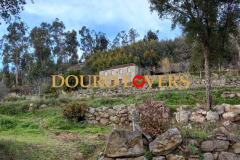 Quinta agrícola em Marco de Canaveses