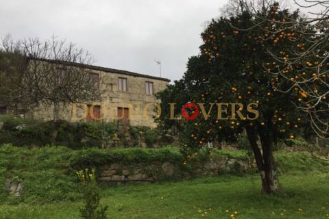 Quinta agrícola em Marco de Canaveses