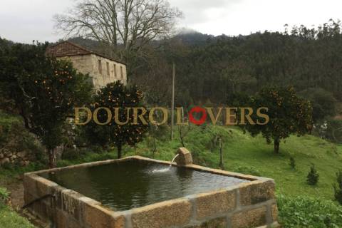 Quinta agrícola em Marco de Canaveses