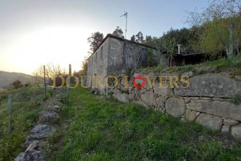 Quinta agrícola em Marco de Canaveses