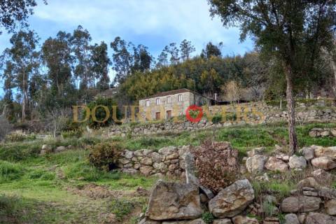 Quinta agrícola em Marco de Canaveses