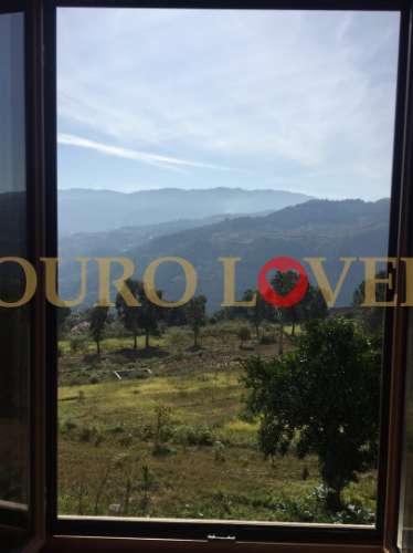 Quinta agrícola em Marco de Canaveses