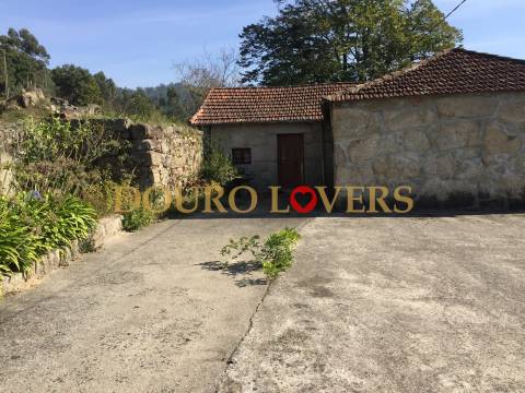 Quinta agrícola em Marco de Canaveses