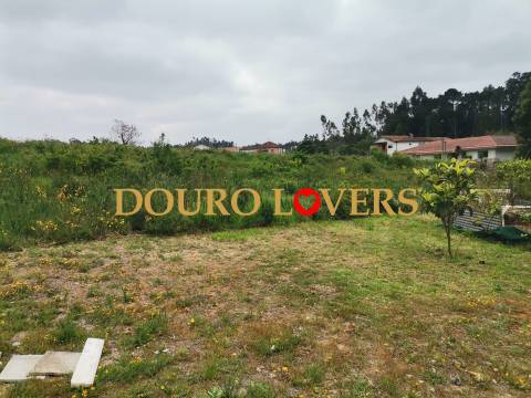 Terreno Urbano em Sanguedo, Santa Maria da Feira