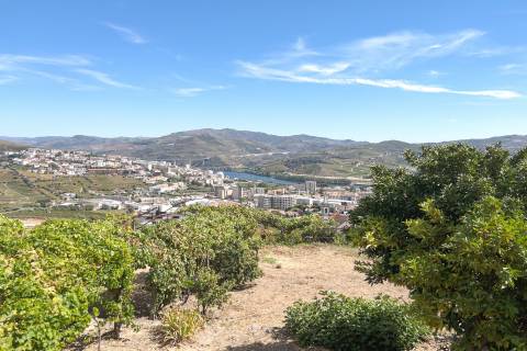 Moradia com quinta na Régua