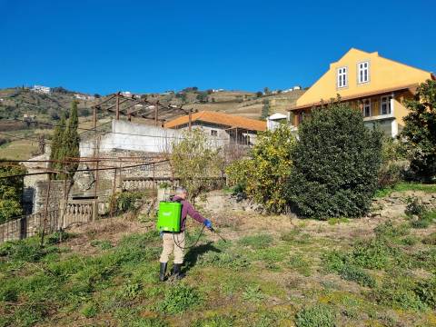 Moradia com quinta na Régua