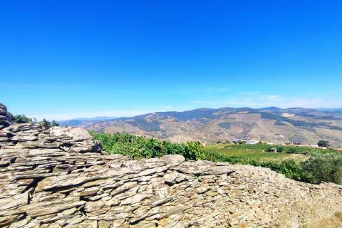 Quinta Valença do Douro, Tabuaço