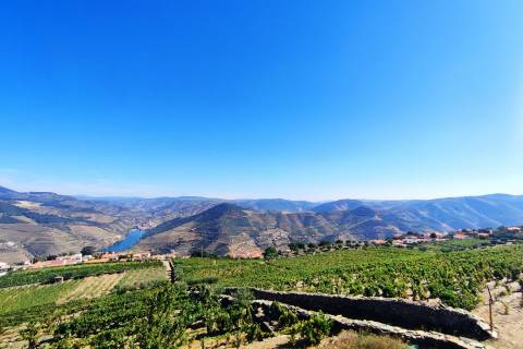 Quinta Valença do Douro, Tabuaço