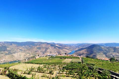 Quinta Valença do Douro, Tabuaço