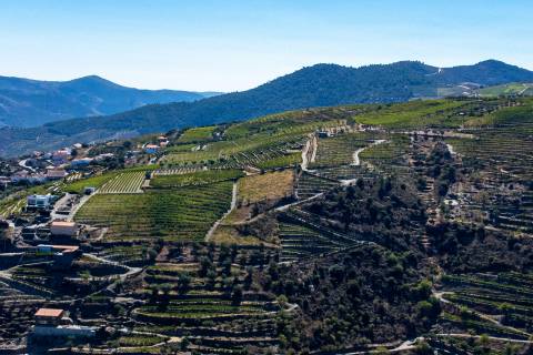 Quinta Valença do Douro, Tabuaço