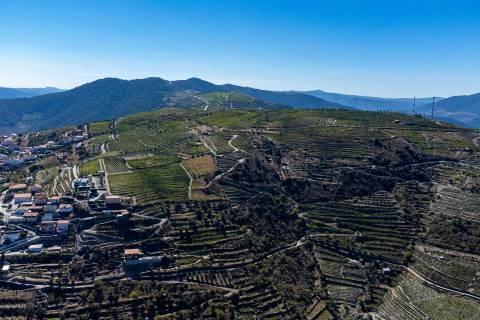 Quinta Valença do Douro, Tabuaço