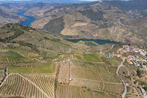Quinta Valença do Douro, Tabuaço