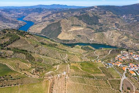 Quinta Valença do Douro, Tabuaço