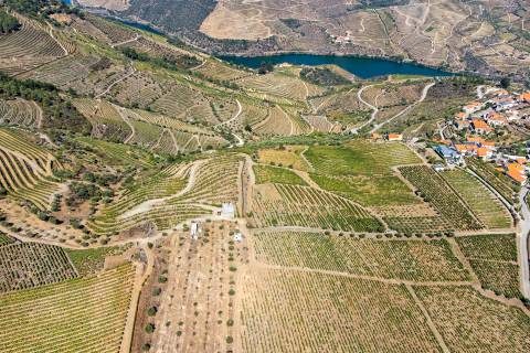 Quinta Valença do Douro, Tabuaço