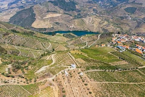 Quinta Valença do Douro, Tabuaço