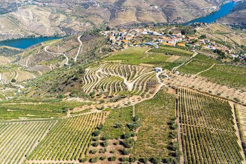 Quinta Valença do Douro, Tabuaço