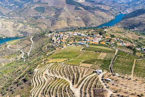 Quinta Valença do Douro, Tabuaço