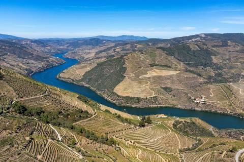 Quinta Valença do Douro, Tabuaço