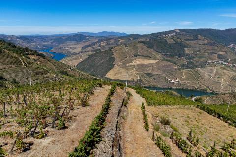 Quinta Valença do Douro, Tabuaço