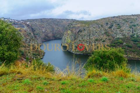Lote de Terreno para venda em Miranda do Douro - Bragança