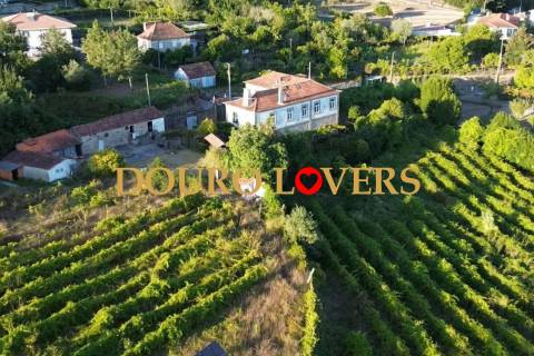 Quinta com vinha e jardim em Sande, São Lourenço