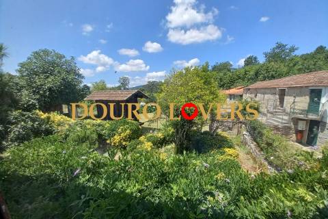 Quinta com vinha e jardim em Sande, São Lourenço