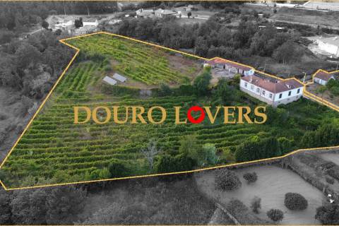 Quinta com vinha e jardim em Sande, São Lourenço