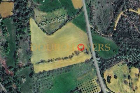 Terreno Agrícola para venda em Conlelas, Bragança