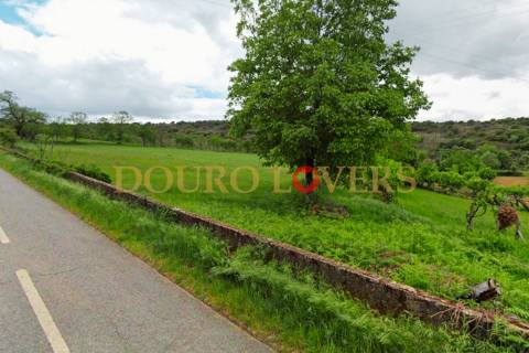 Terreno Agrícola para venda em Conlelas, Bragança