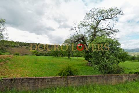 Terreno Agrícola para venda em Conlelas, Bragança