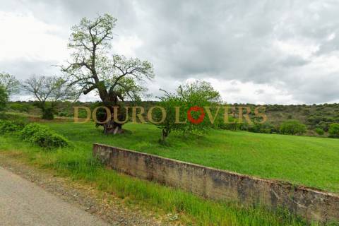 Terreno Agrícola para venda em Conlelas, Bragança