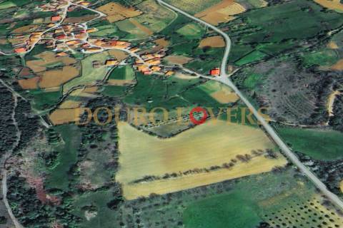 Terreno Agrícola para venda em Conlelas, Bragança
