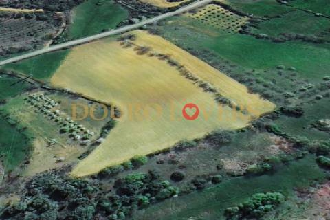 Terreno Agrícola para venda em Conlelas, Bragança