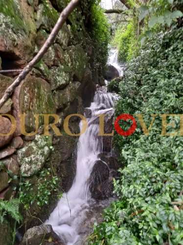 Quinta da Veiga,  casa senhorial antiga inserida em quinta