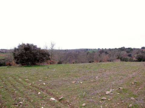 Terreno, Miranda do Douro