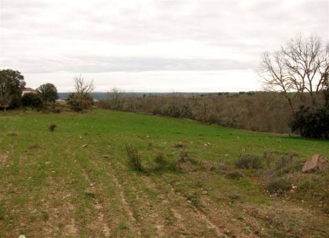 Terreno, Miranda do Douro